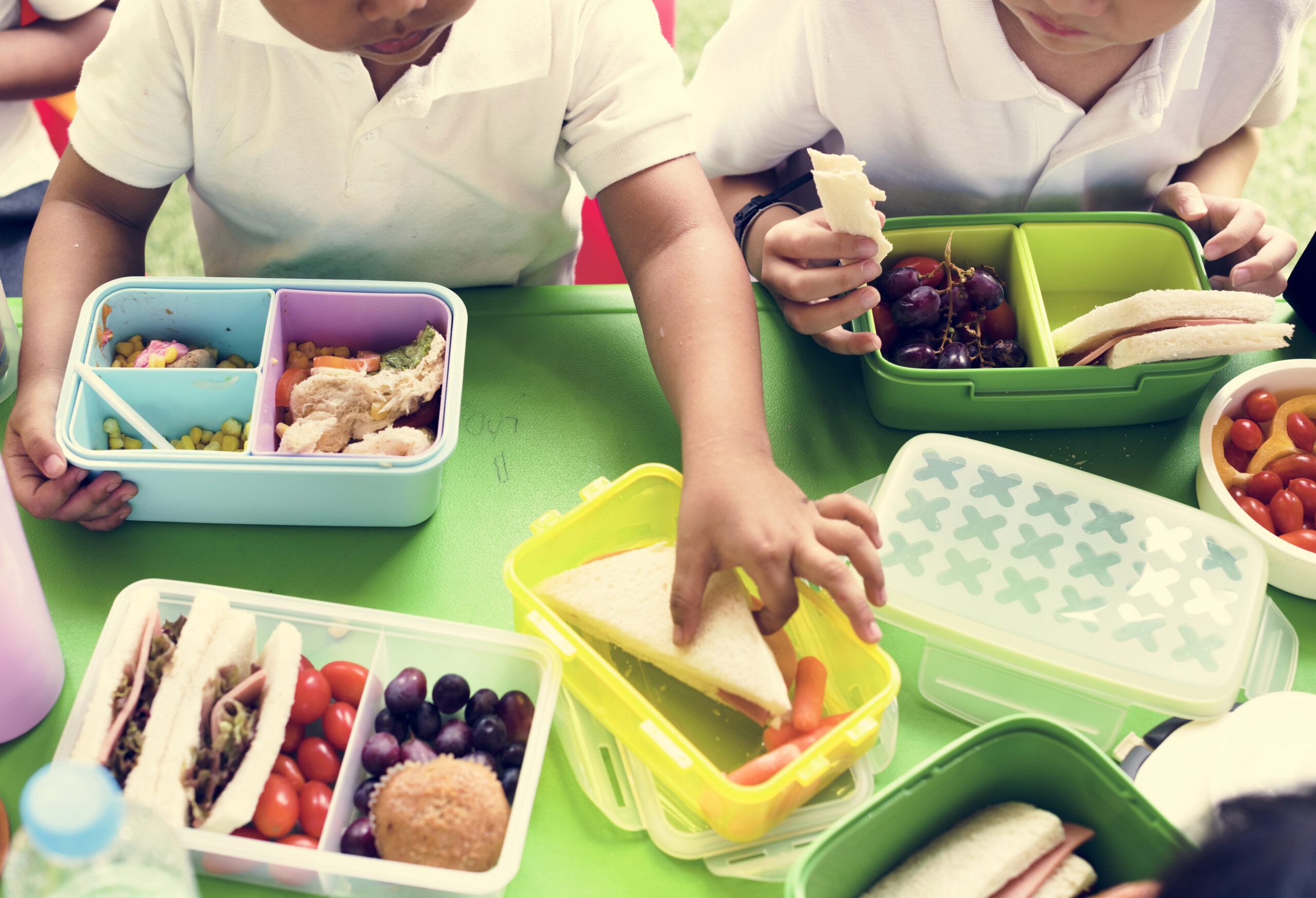 Allergy-Friendly Lunch Ideas (That Kids Actually Eat)